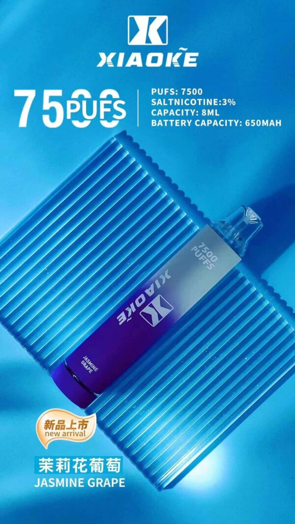 15-1.jpg XIAOKE 7500 PUFFS 梟客棄式抛電子煙 一次性霧化桿推薦·