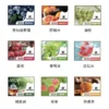 XKYD002.webp XIAOKE煙彈 梟客五代霧化彈 適用Relx主機四五六代