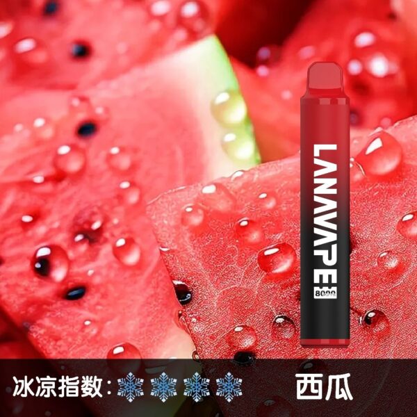 微信图片_20250606105158.jpg LANA 8000 PUFFS 拋棄式一次性電子煙 台灣電子煙推薦