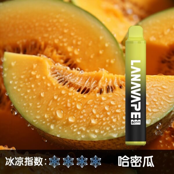 微信图片_20250606105208.jpg LANA 8000 PUFFS 拋棄式一次性電子煙 台灣電子煙推薦