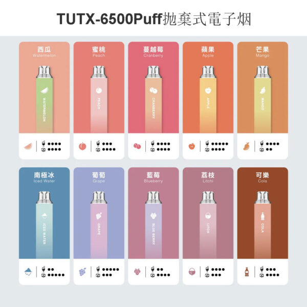Tutx-6500puff-抛棄式電子烟 台灣現貨 TUTX 6500 Puffs 拋棄式電子煙 一次性大容量煙桿